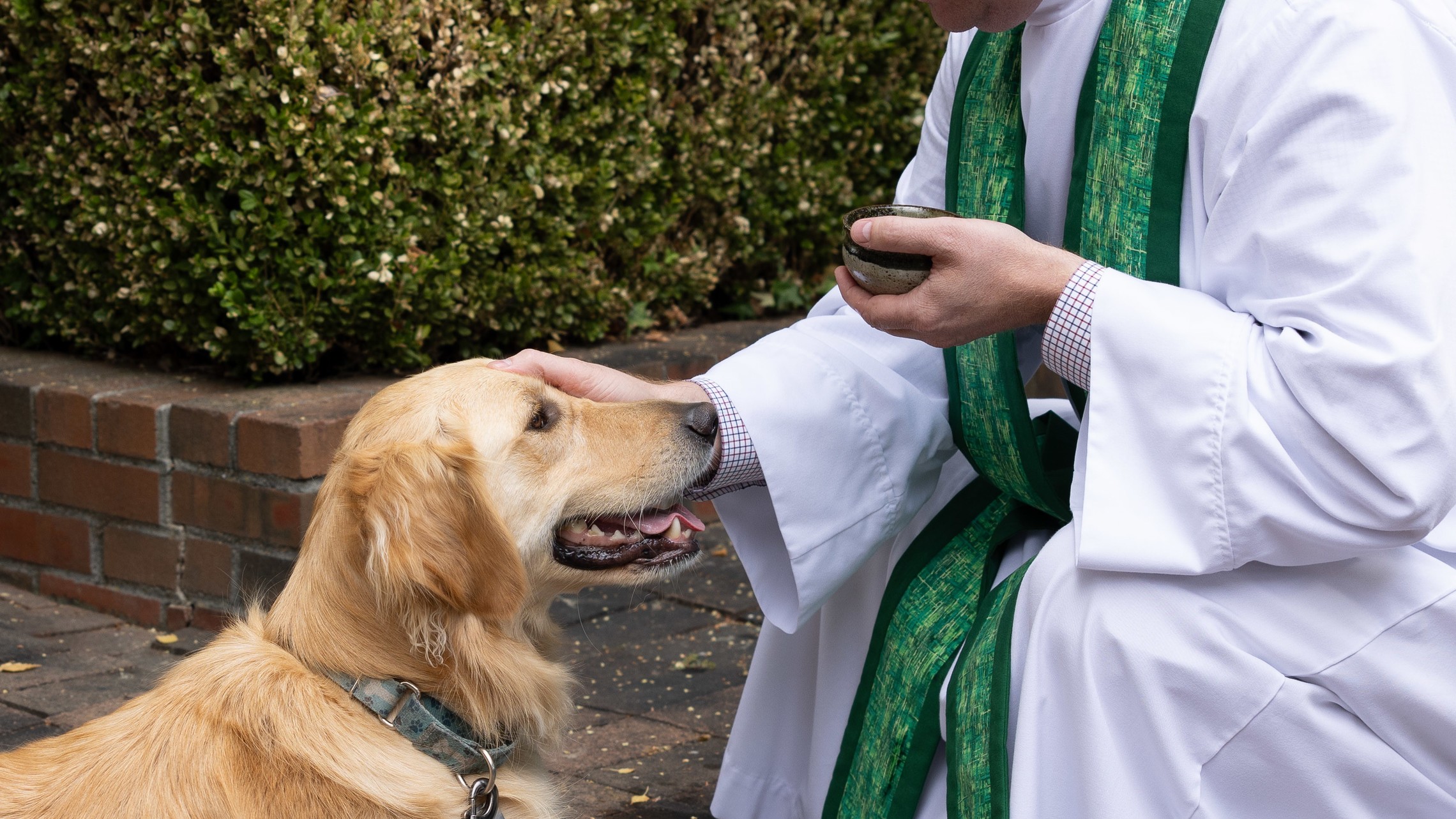Blessing Of The Animals 1 Of 1