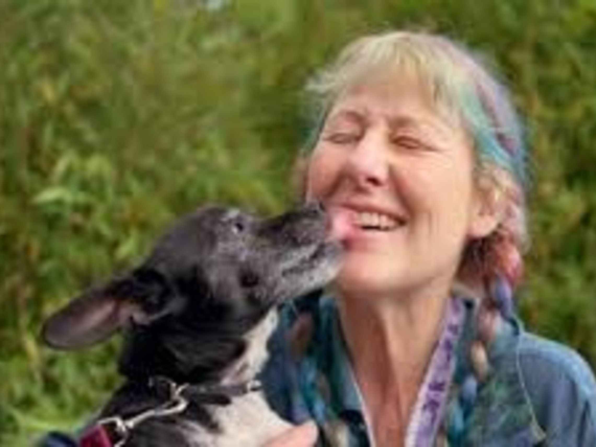Dog licking face of woman